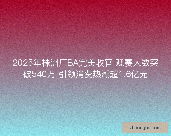 2025年株洲厂BA完美收官 观赛人数突破540万 引领消费热潮超1.6亿元 2025年株洲厂BA完美收官 观赛人数突破540万 引领消费热潮超1.6亿元