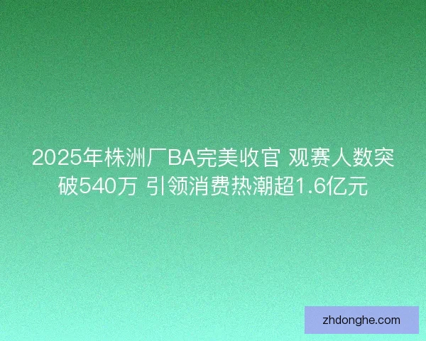 2025年株洲厂BA完美收官 观赛人数突破540万 引领消费热潮超1.6亿元 2025年株洲厂BA完美收官 观赛人数突破540万 引领消费热潮超1.6亿元