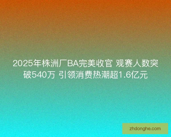 2025年株洲厂BA完美收官 观赛人数突破540万 引领消费热潮超1.6亿元