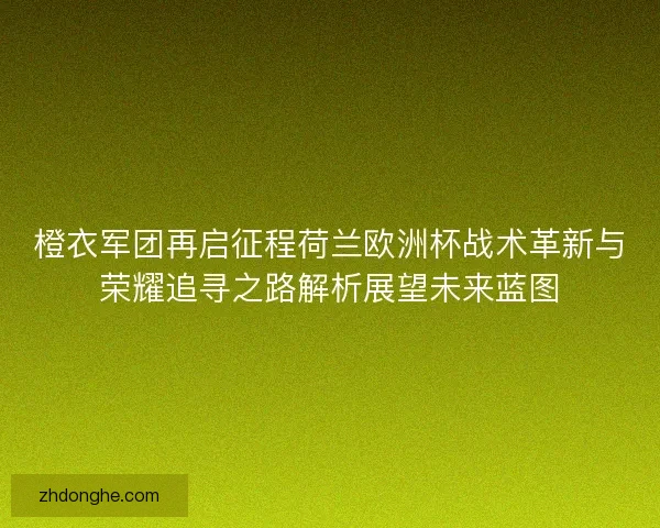 橙衣军团再启征程荷兰欧洲杯战术革新与荣耀追寻之路解析展望未来蓝图