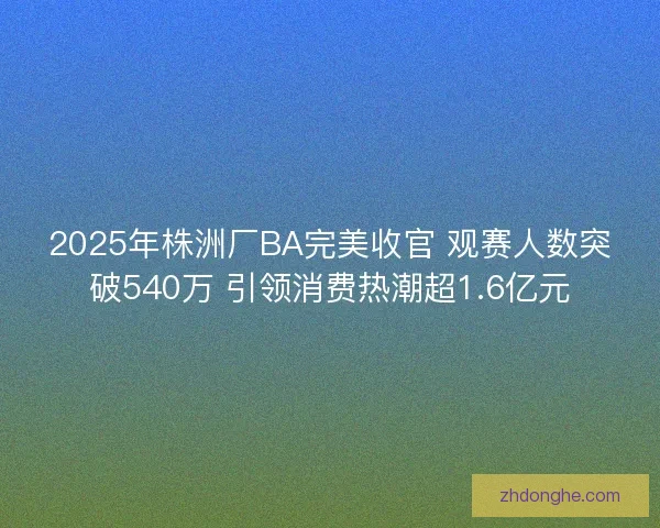 2025年株洲厂BA完美收官 观赛人数突破540万 引领消费热潮超1.6亿元 2025年株洲厂BA完美收官 观赛人数突破540万 引领消费热潮超1.6亿元